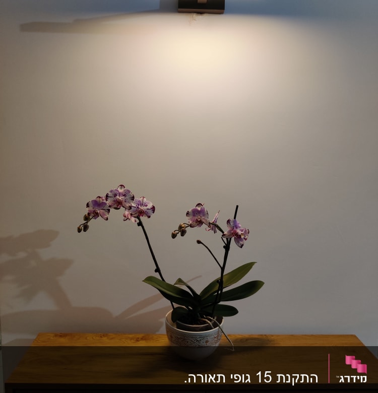 מנורת קיר דולקת מעל שולחן עץ